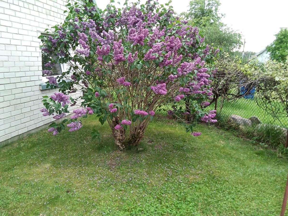 Merkines Viensodis 외부 사진